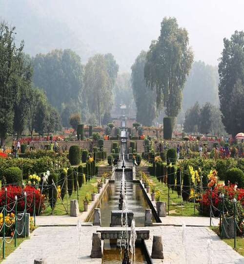 shalimar-bagh-srinagar1_500x540